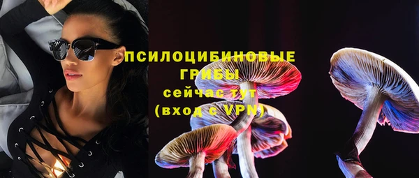 стафф Протвино
