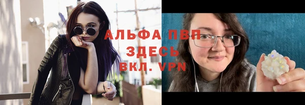 шишки Волоколамск