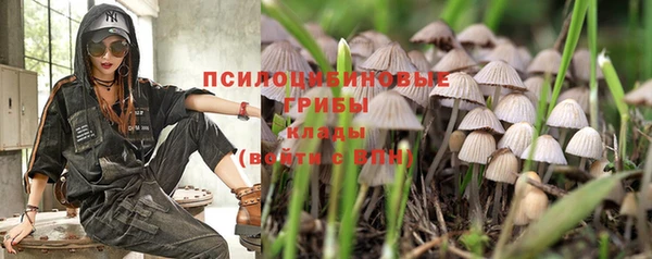 дживик Володарск