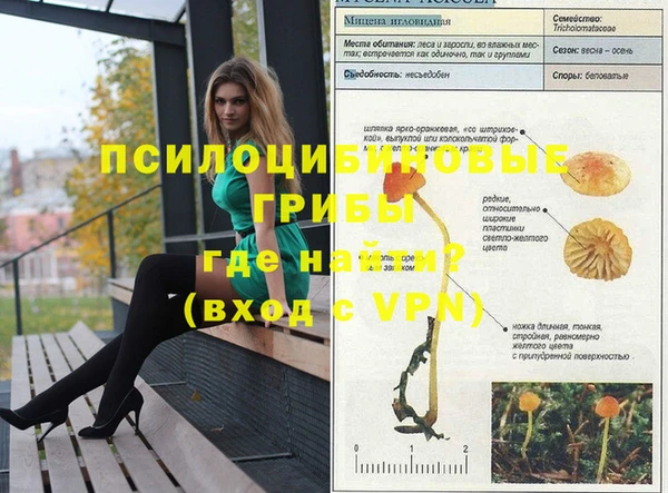 спиды Вязьма