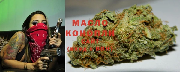 дживик Володарск