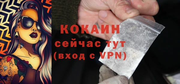 дживик Володарск