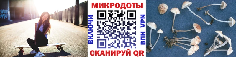 Псилоцибиновые грибы Cubensis  Челябинск 