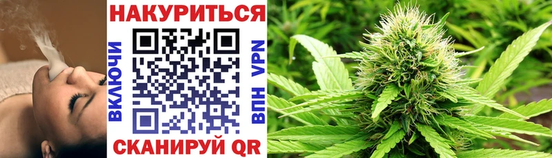 Каннабис планчик  Челябинск 